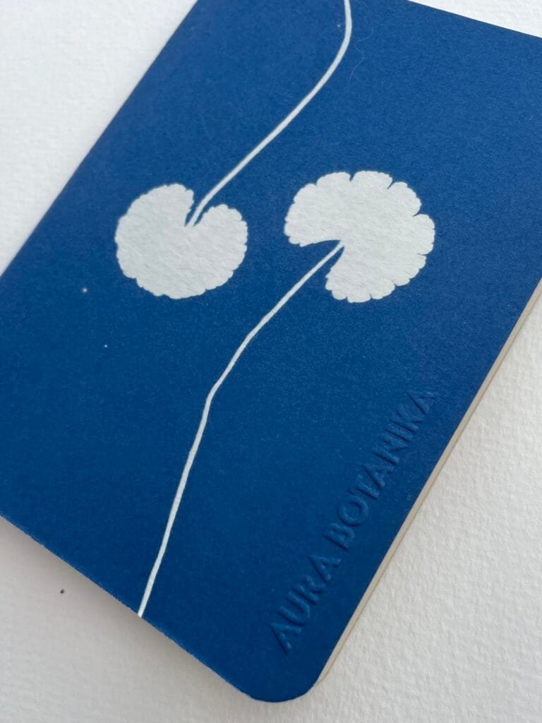 Centella · Libreta pequeña