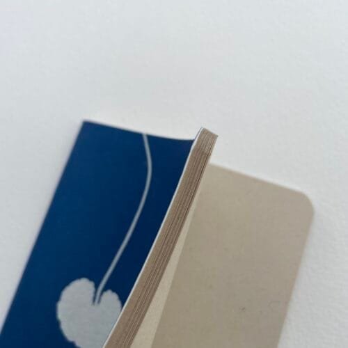 Centella · Libreta pequeña