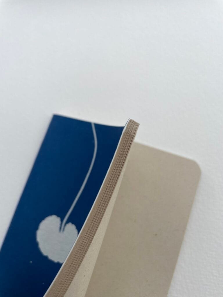 Centella · Libreta pequeña