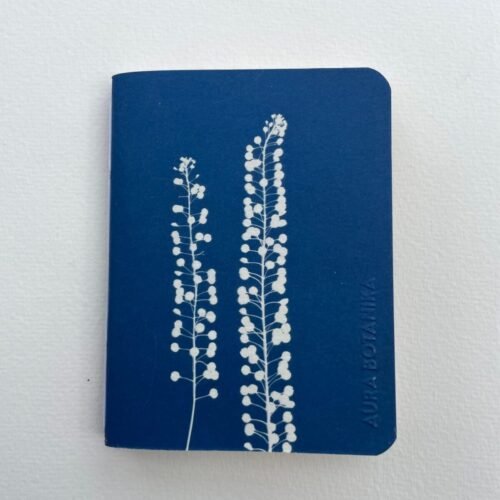 Perejil de la tierra · Libreta pequeña