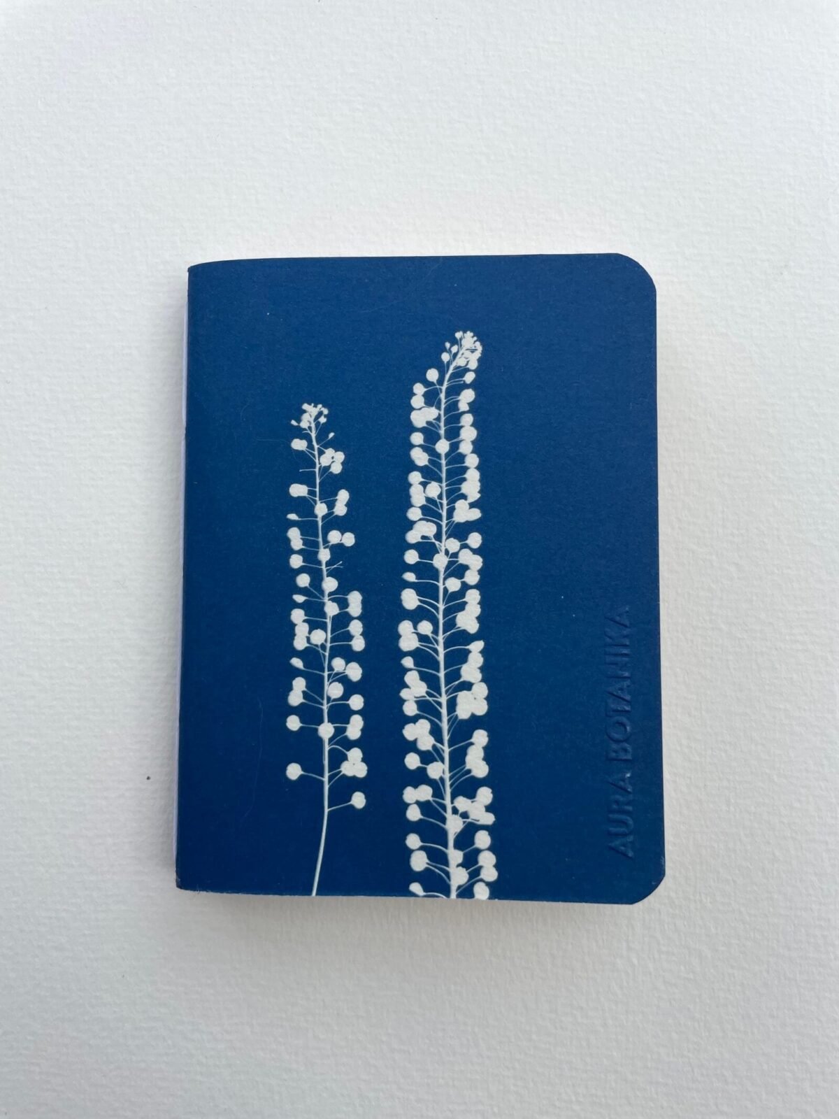 IMG_6578 2 Perejil de la tierra · Libreta pequeña