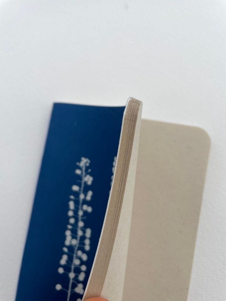 Perejil de la tierra · Libreta pequeña