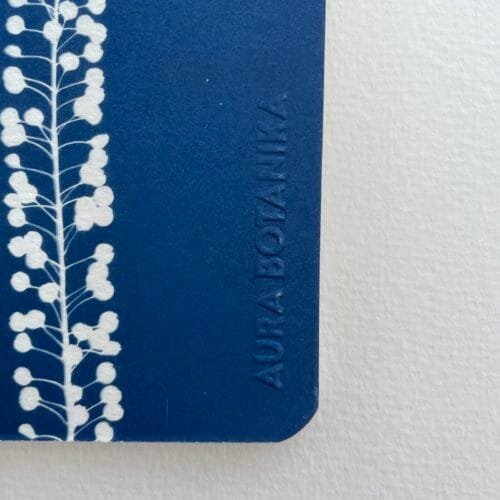 Perejil de la tierra · Libreta pequeña