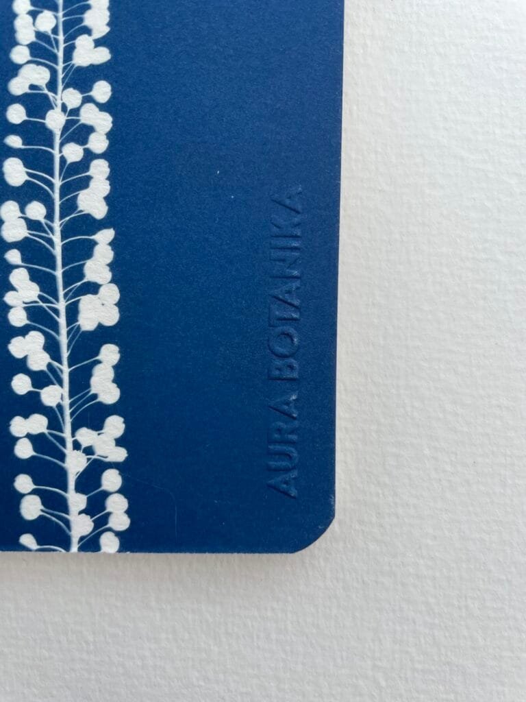 Perejil de la tierra · Libreta pequeña