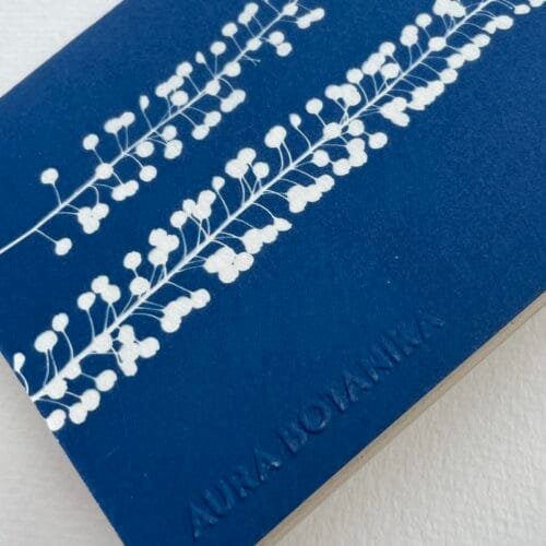 Perejil de la tierra · Libreta pequeña