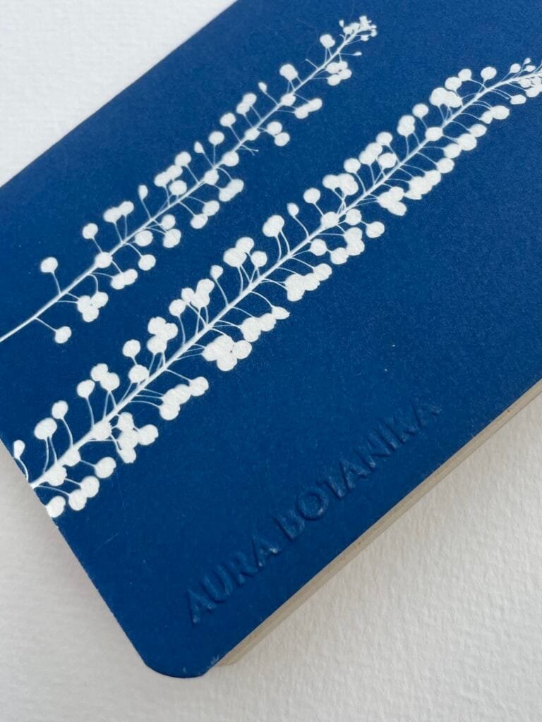 Perejil de la tierra · Libreta pequeña