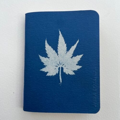 Caigua · Libreta pequeña