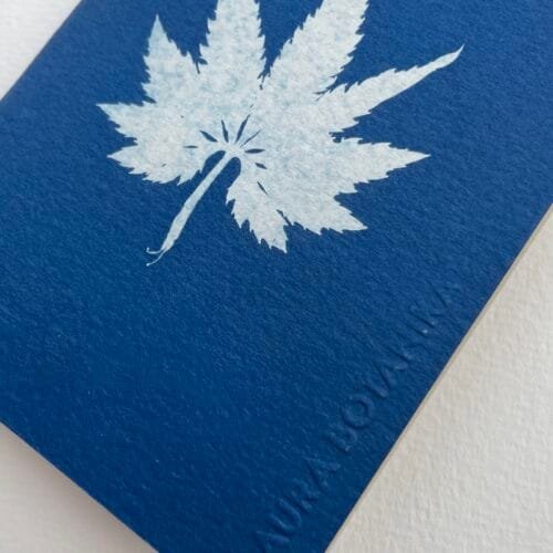 Caigua · Libreta pequeña