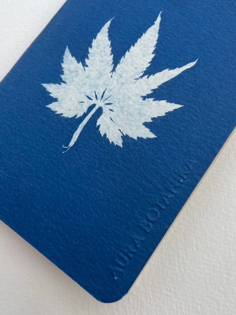 Caigua · Libreta pequeña