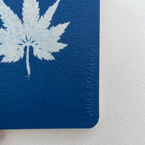 Caigua · Libreta pequeña