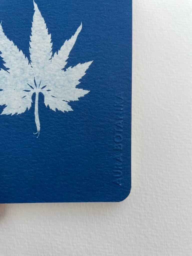 Caigua · Libreta pequeña