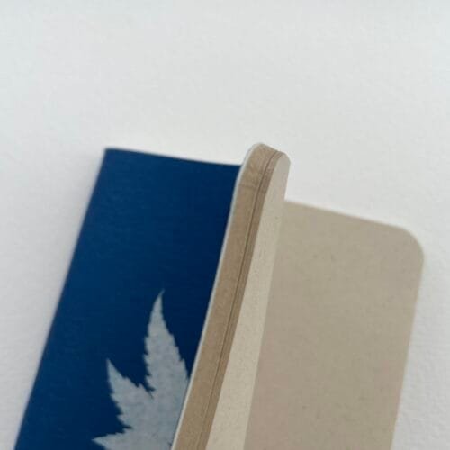 Caigua · Libreta pequeña