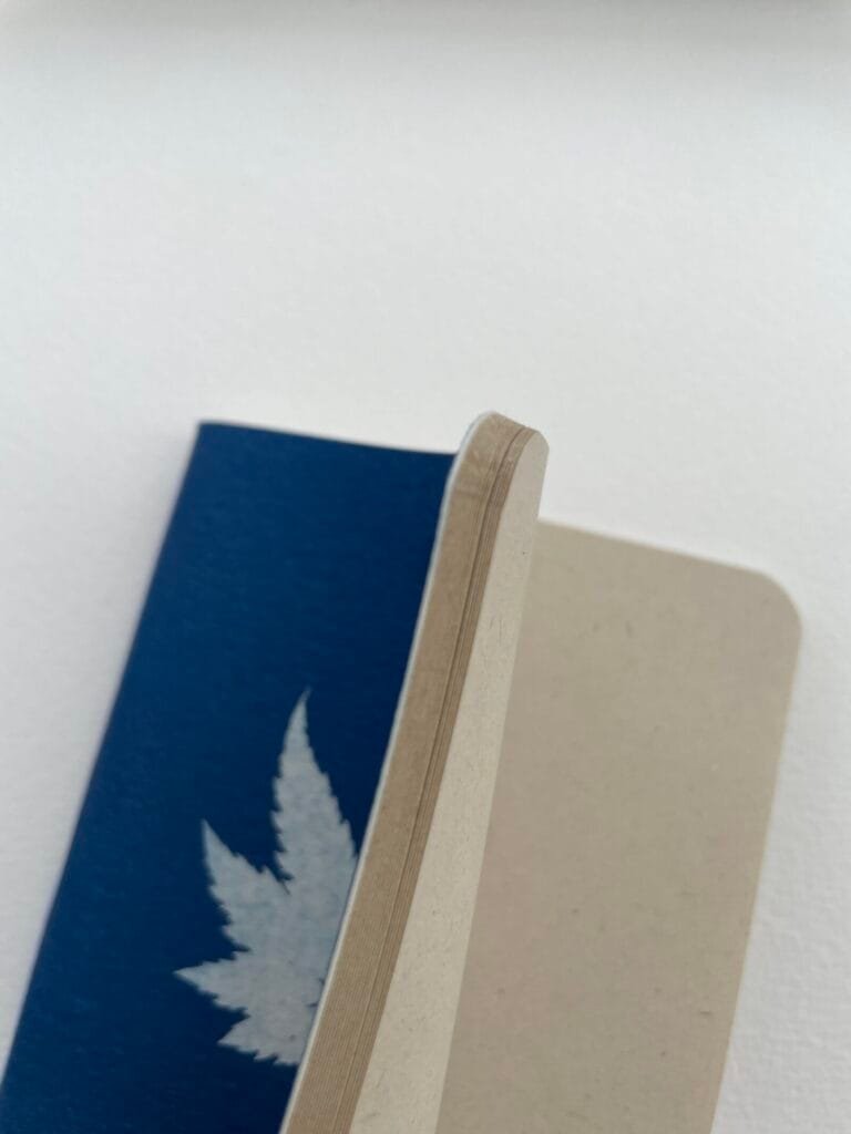 Caigua · Libreta pequeña