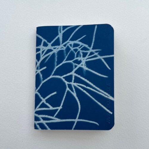 IMG_6598 Licopodio · Libreta pequeña