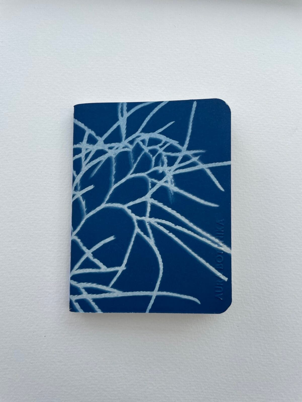 IMG_6598 Licopodio · Libreta pequeña