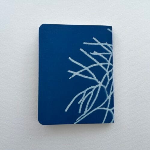 IMG_6599 Licopodio · Libreta pequeña