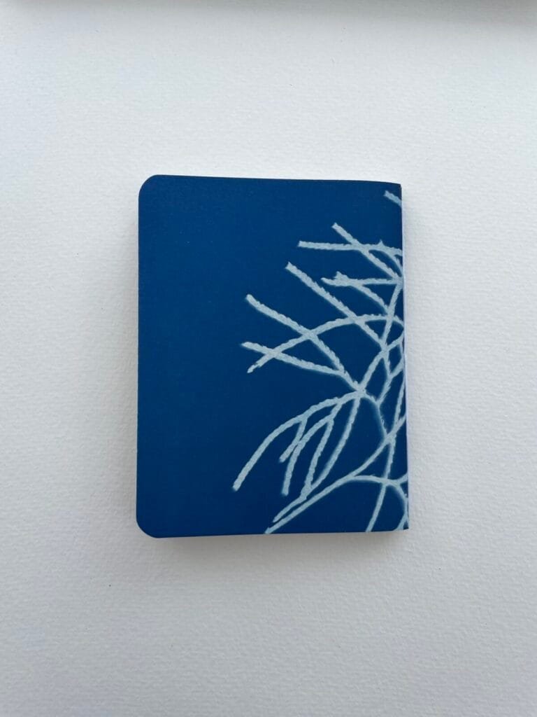 IMG_6599 Licopodio · Libreta pequeña