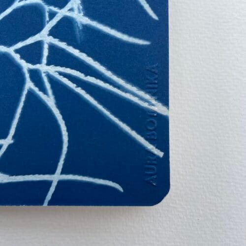 IMG_6600 Licopodio · Libreta pequeña