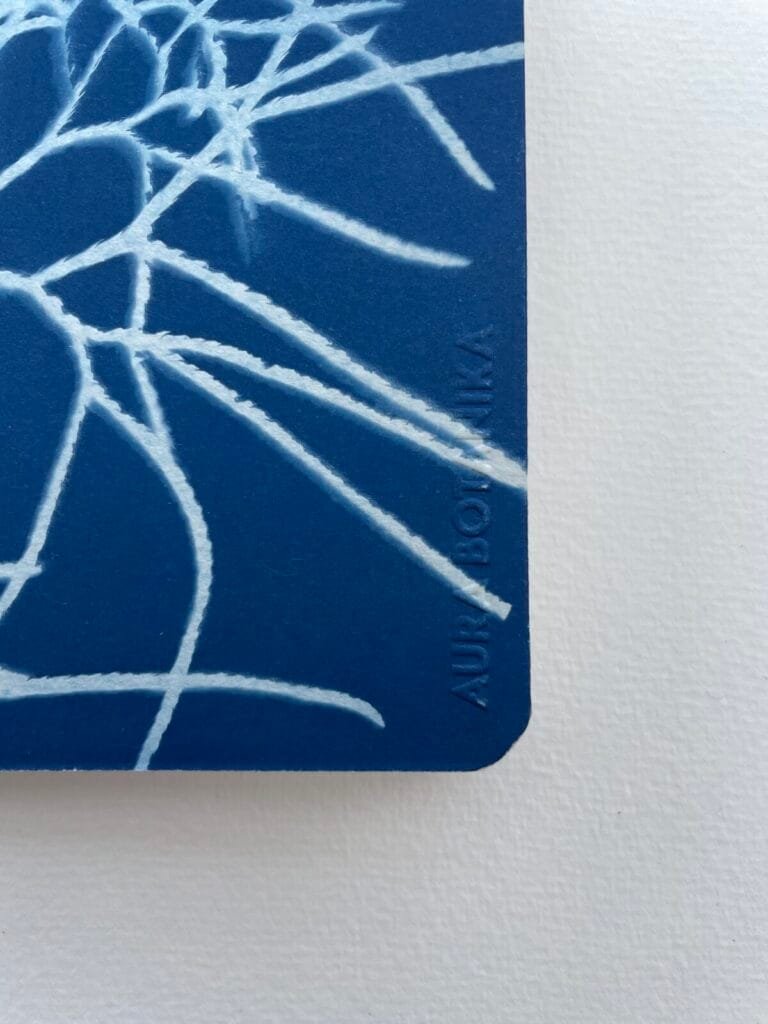 IMG_6600 Licopodio · Libreta pequeña