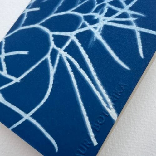 IMG_6602 Licopodio · Libreta pequeña