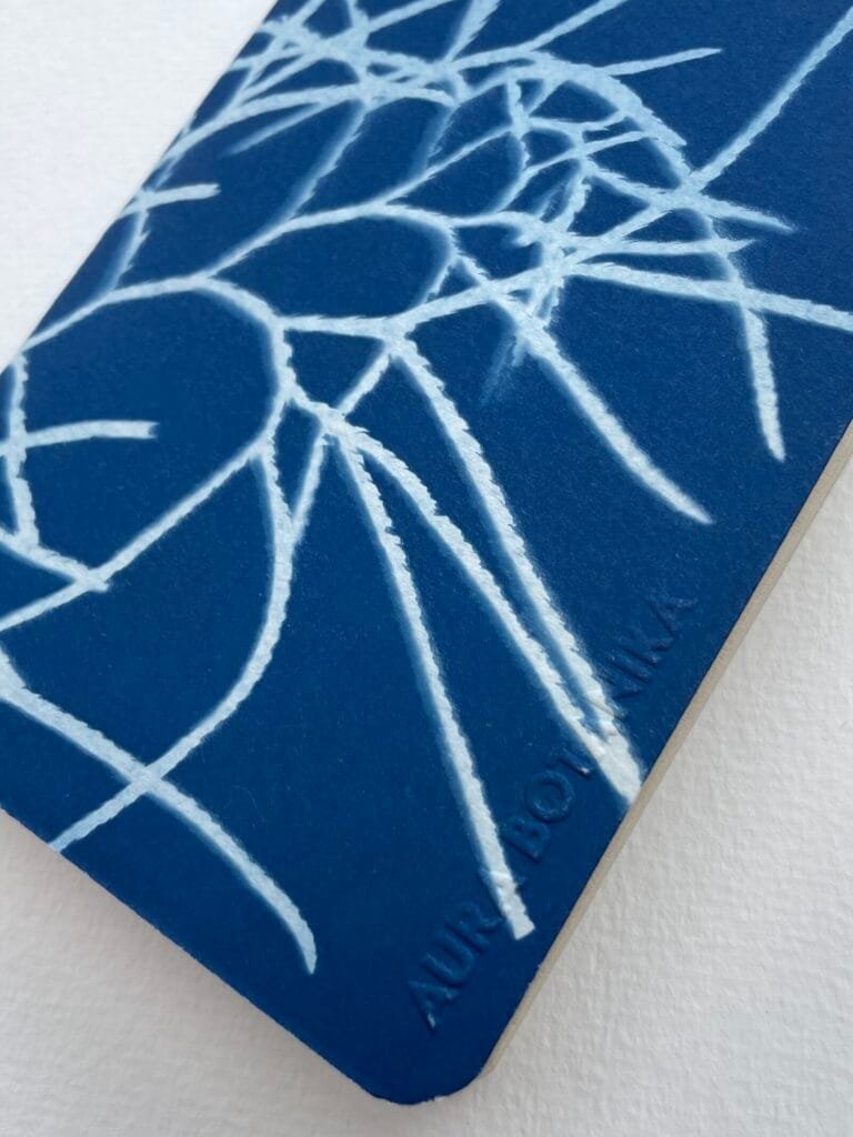 IMG_6602 Licopodio · Libreta pequeña