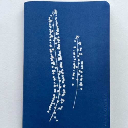 IMG_6603 2 Perejil de la tierra · Libreta grande