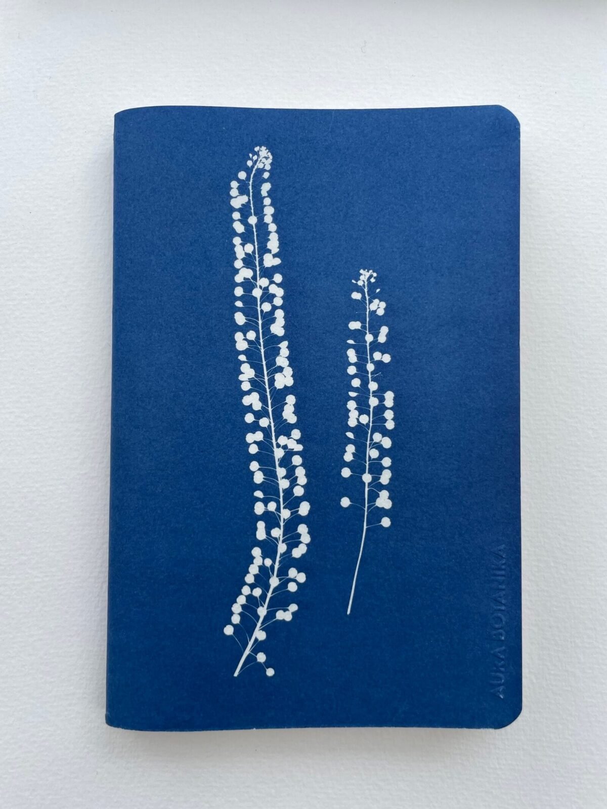 IMG_6603 2 Perejil de la tierra · Libreta grande