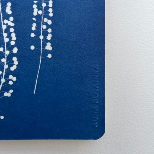 IMG_6605 Perejil de la tierra · Libreta grande