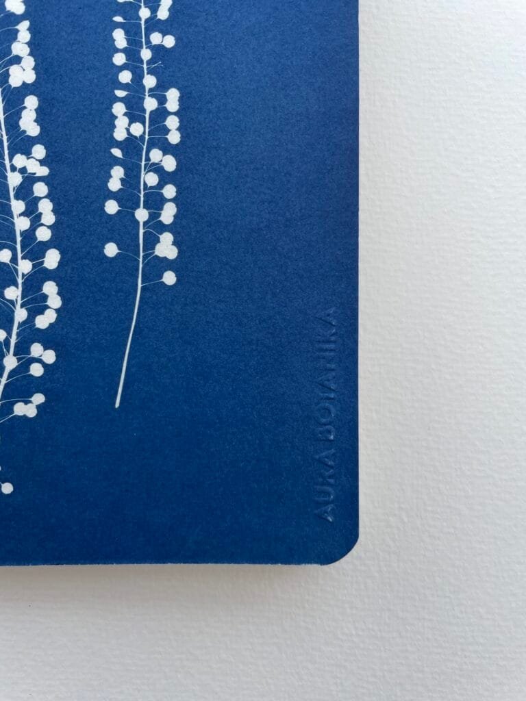 IMG_6605 Perejil de la tierra · Libreta grande