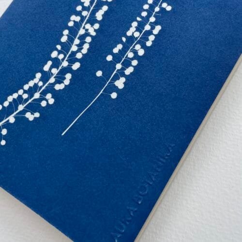 IMG_6606 2 Perejil de la tierra · Libreta grande