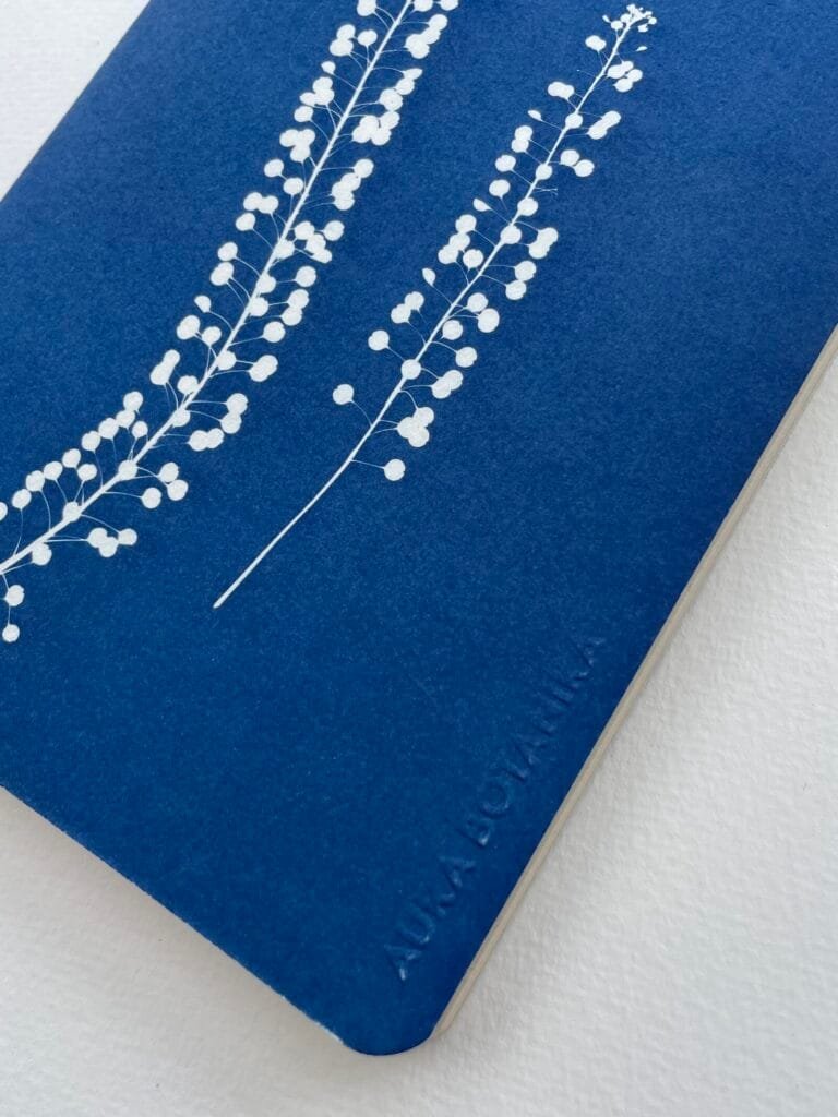 IMG_6606 2 Perejil de la tierra · Libreta grande