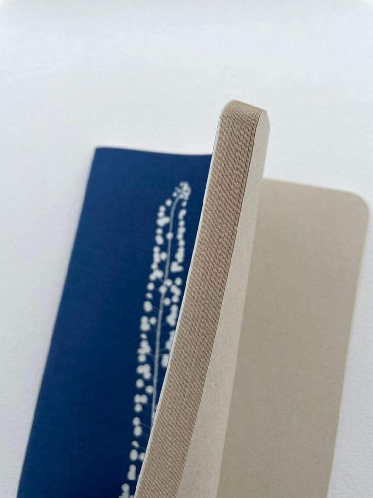 IMG_6608 Perejil de la tierra · Libreta grande