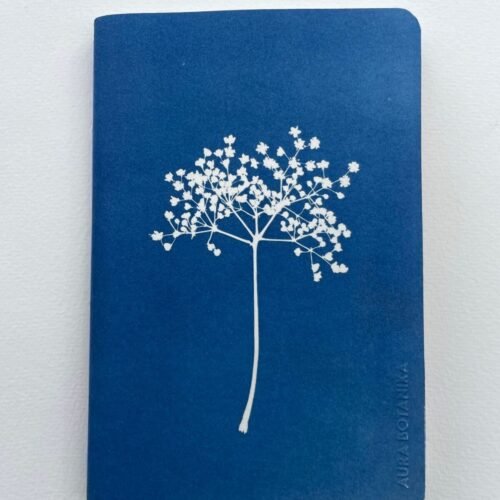 Sauco · Libreta grande