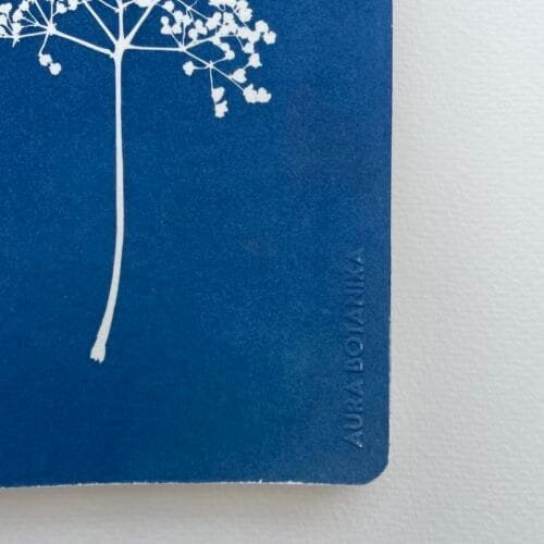 Sauco · Libreta grande