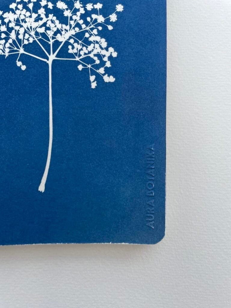 Sauco · Libreta grande