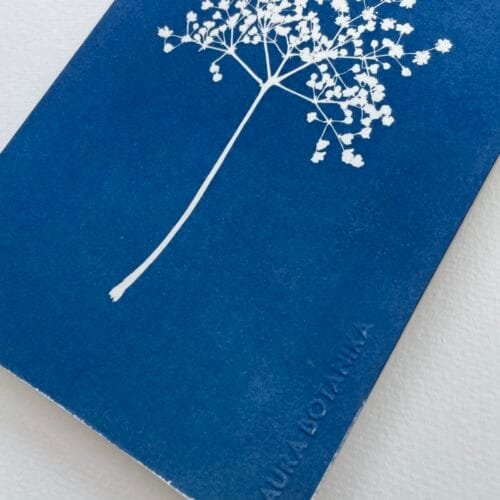 Sauco · Libreta grande