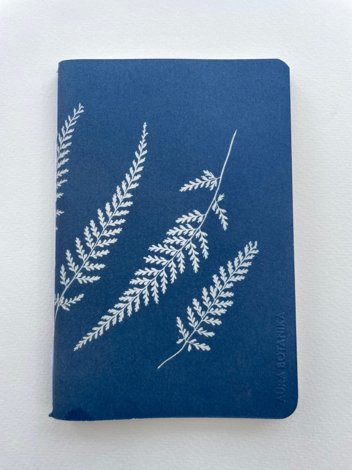 IMG_6614 Helechos · Libreta grande