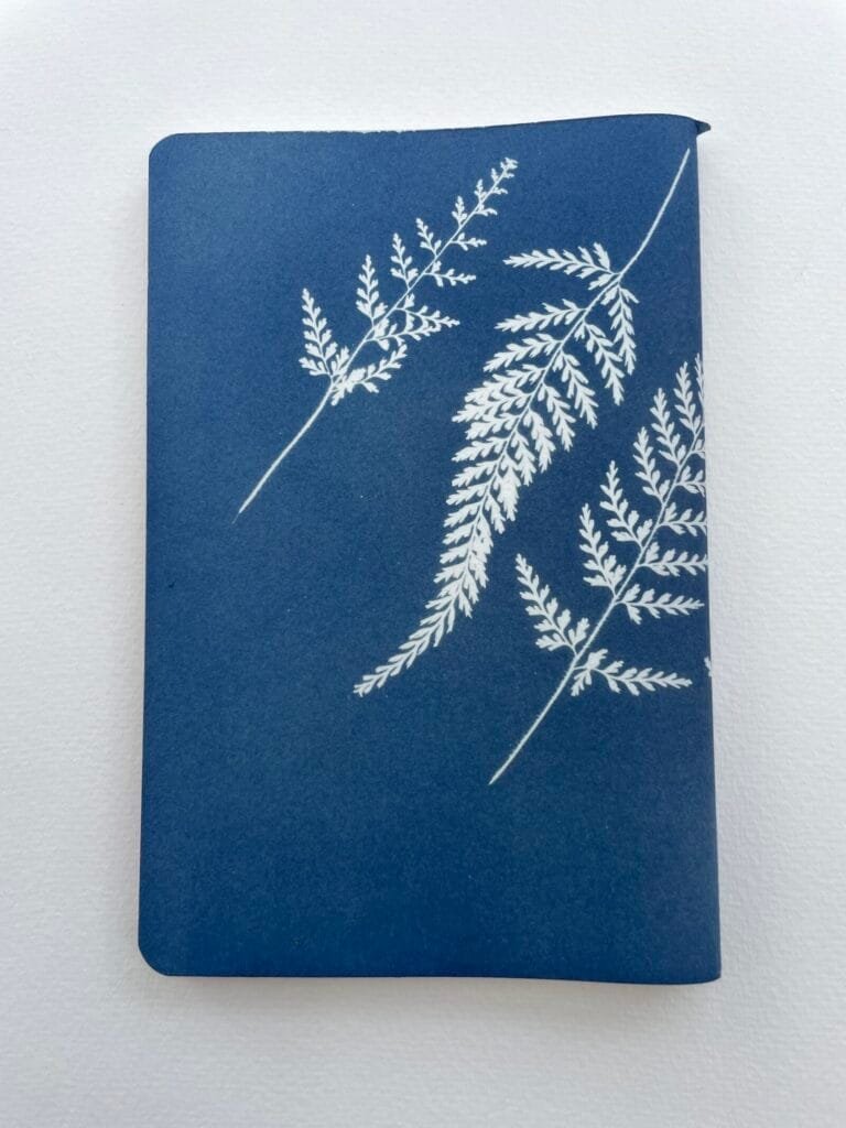 Helechos · Libreta grande