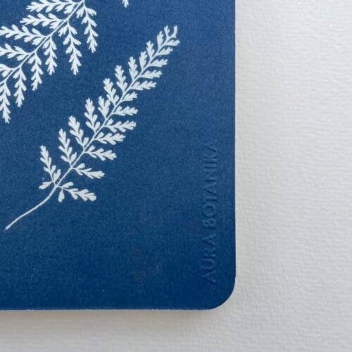 Helechos · Libreta grande