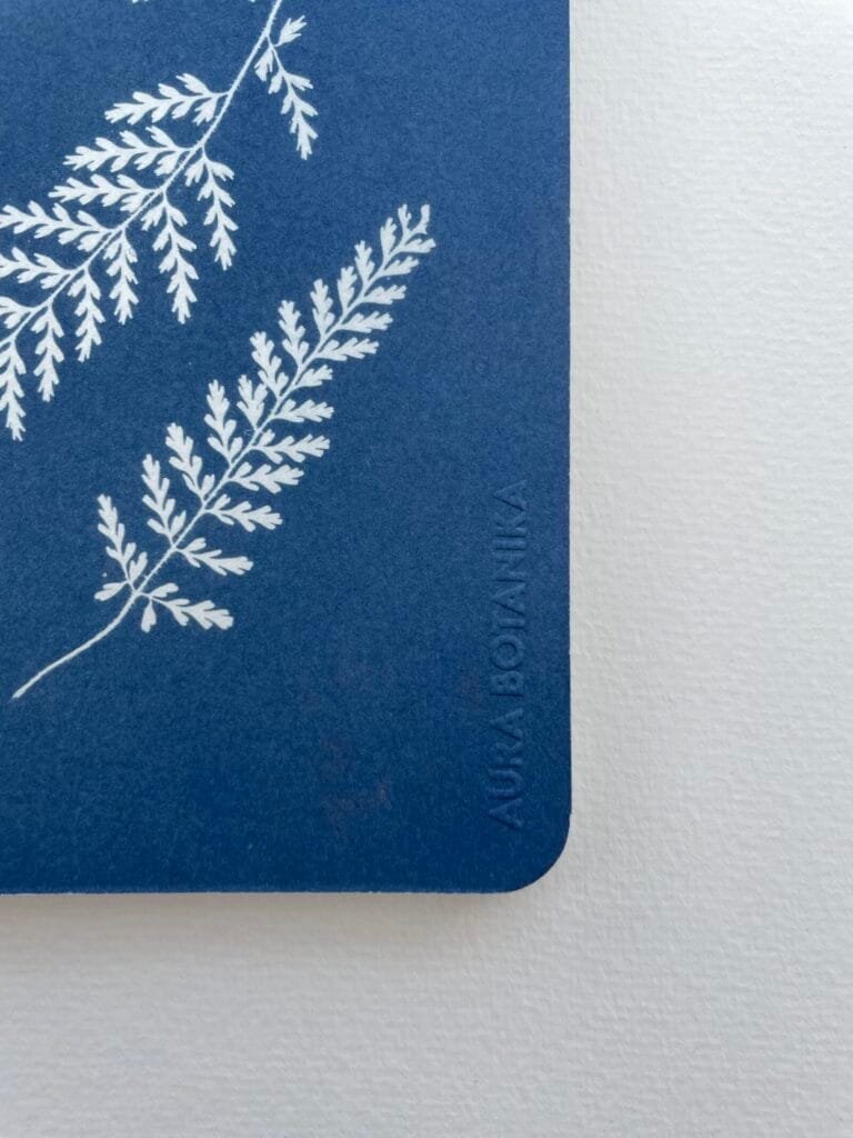 Helechos · Libreta grande