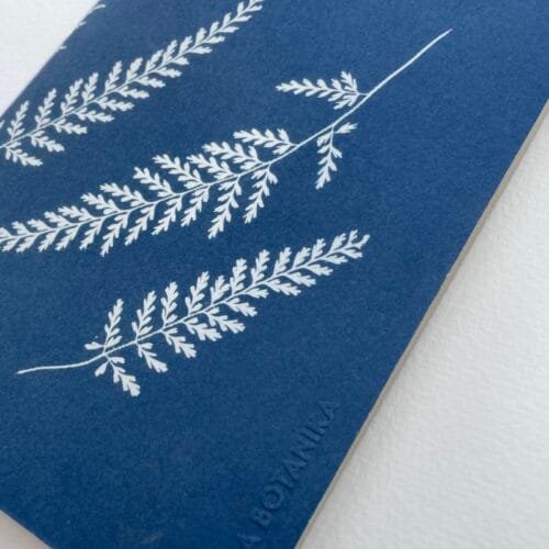 Helechos · Libreta grande