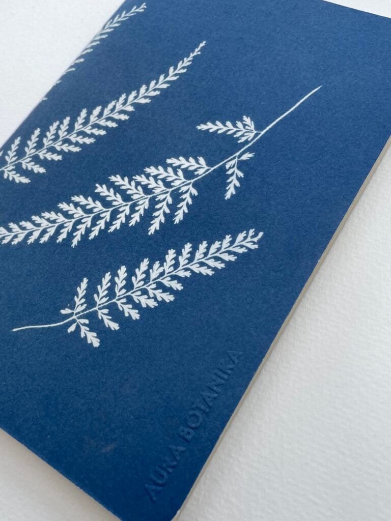 Helechos · Libreta grande