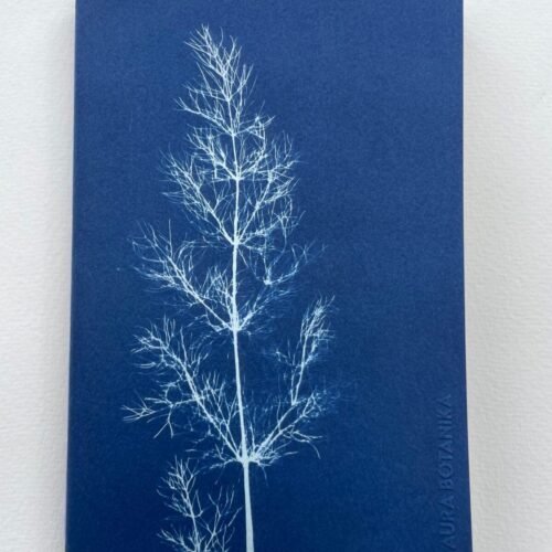 IMG_6619 Hinojo · Libreta grande