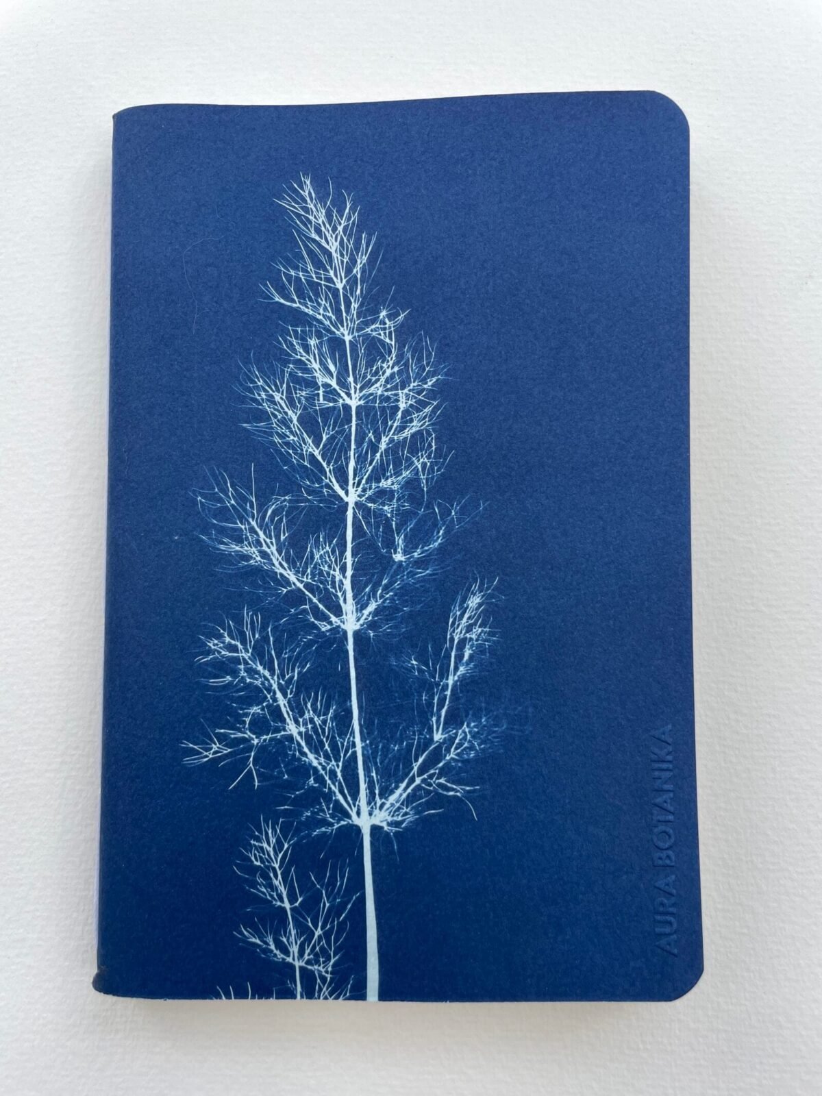 IMG_6619 Hinojo · Libreta grande