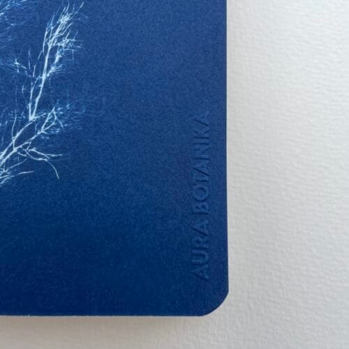 IMG_6621 Hinojo · Libreta grande