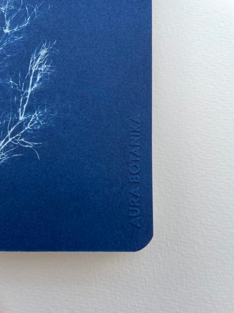 IMG_6621 Hinojo · Libreta grande