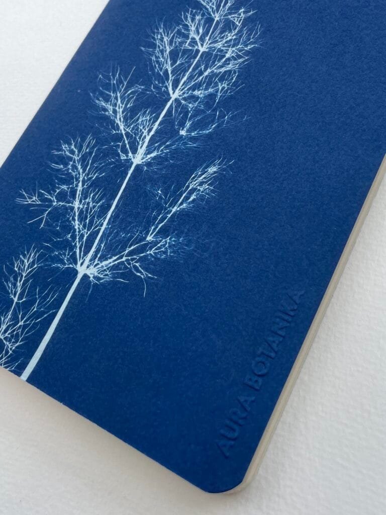 IMG_6622 Hinojo · Libreta grande