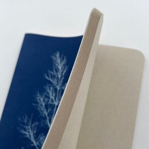 IMG_6623 Hinojo · Libreta grande