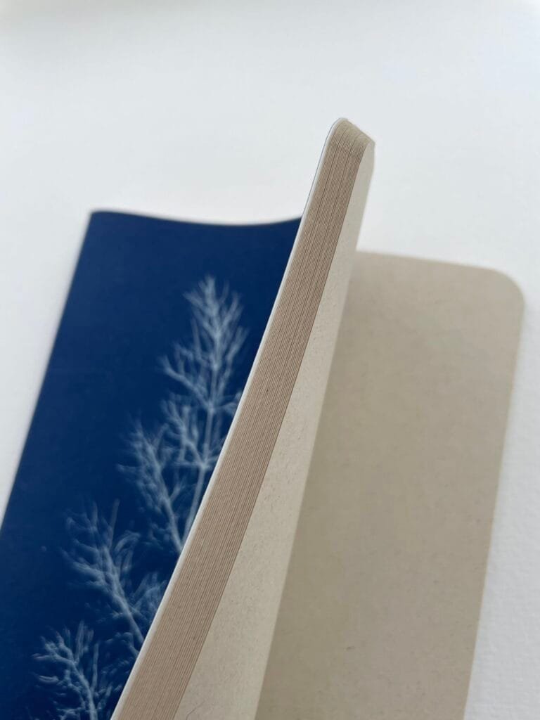 IMG_6623 Hinojo · Libreta grande