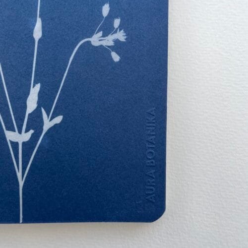 Flores silvestres · Libreta grande